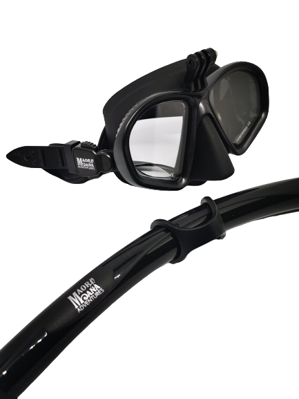 gopro dive mask great addition for all of your freediving and spearfishing adventures. all round great product to add to your dive gear and good for all underwater sports
