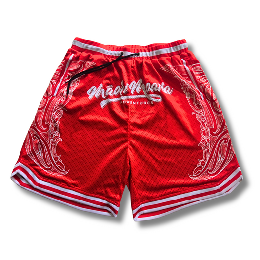 Summit Shorts (Whero)